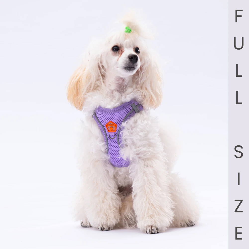 A10-F Lila Airmesh Full Size