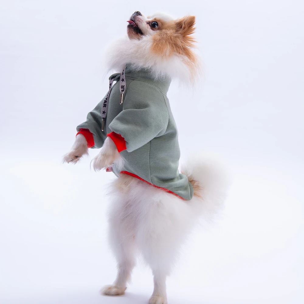 25718 Yeşil Seattle Storm Sweat