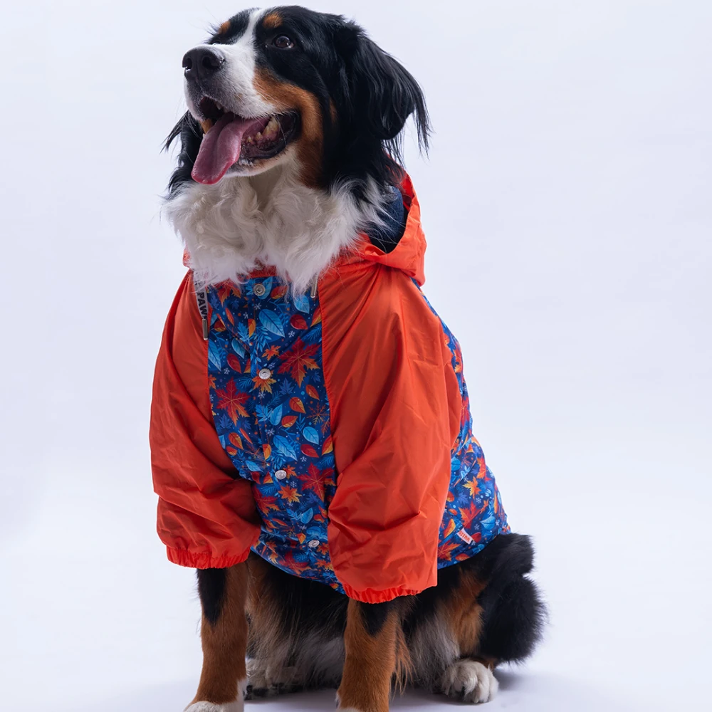 25557 Amsterdam Fall Büyük Irk Yağmurluk