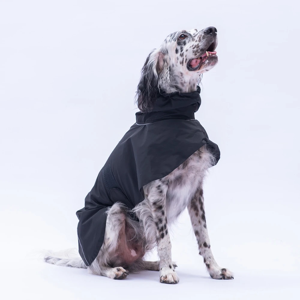 25520 Siyah Colombia Prime Yağmurluk (Orta-Büyük Irklar)