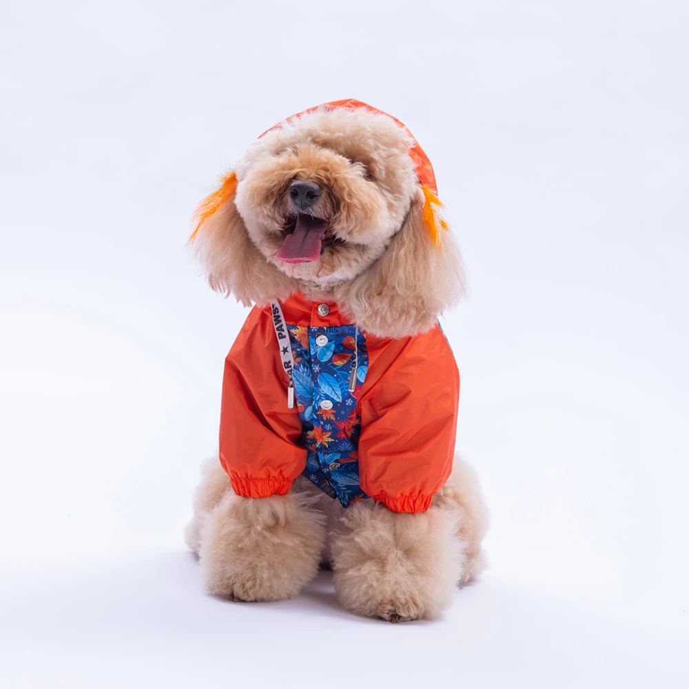 25515  Amsterdam Fall Yağmurluk