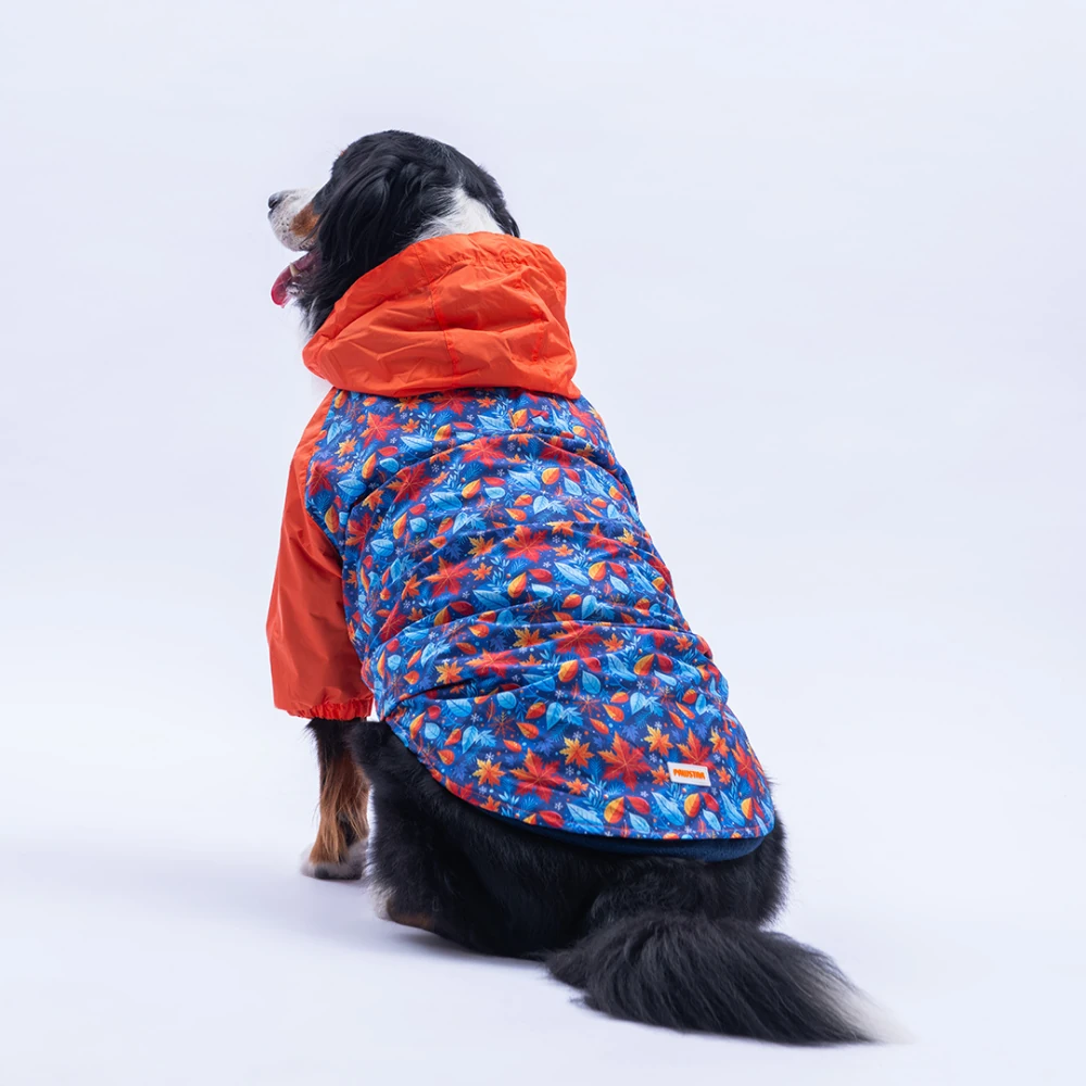 25557 Amsterdam Fall Büyük Irk Yağmurluk