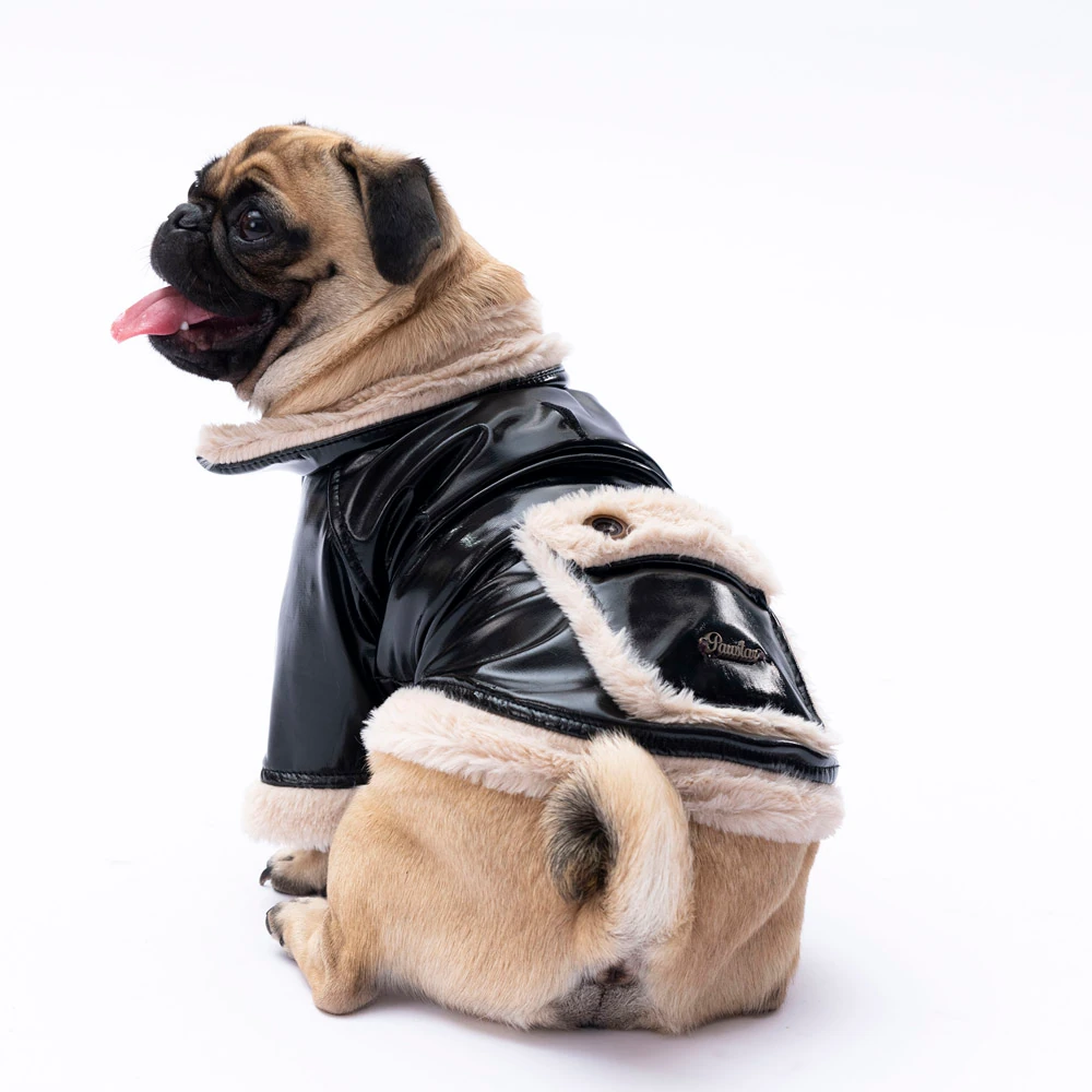 24203 Siyah Vegas Ceket