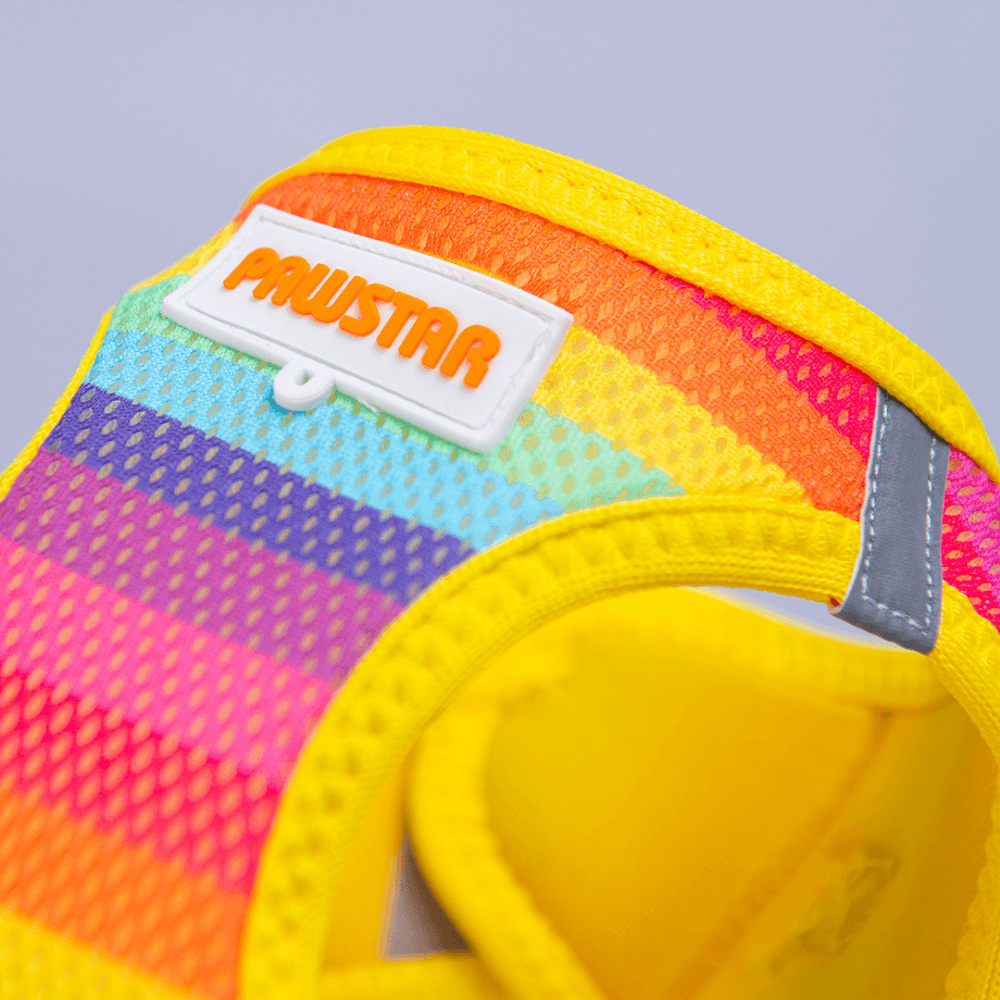 A34-Rainbow Airmesh