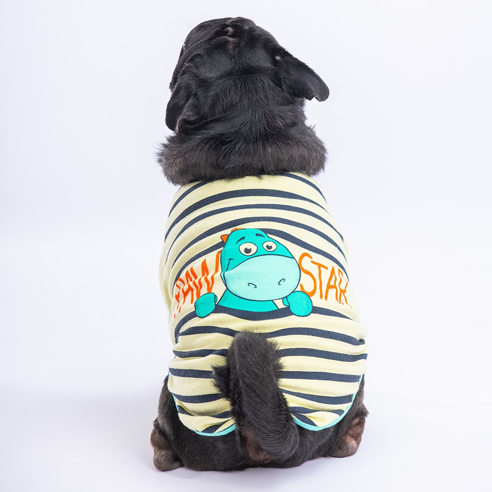 23727 Limon Dino Star Sweat
