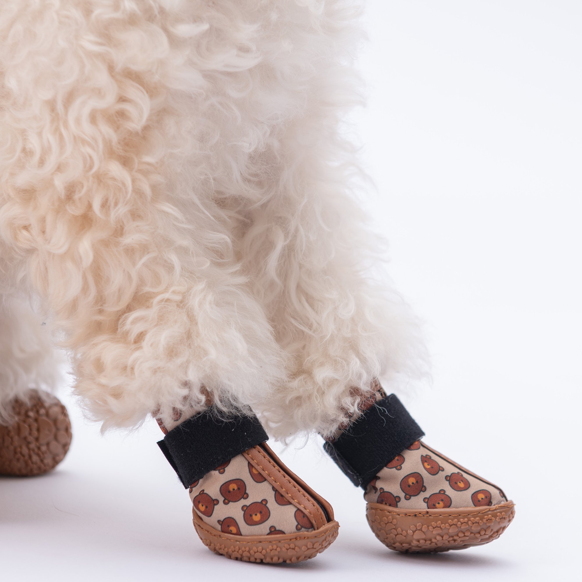 PDS02 Bears Köpek Ayakkabısı