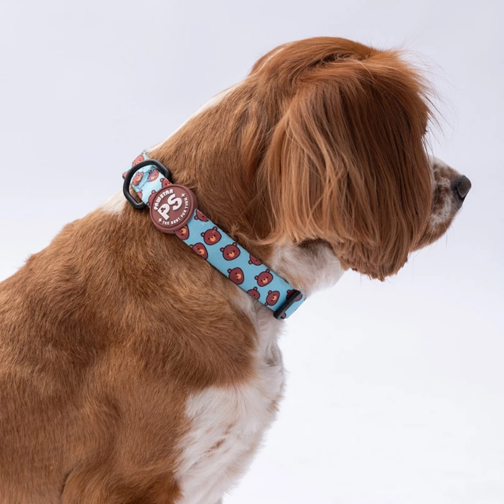 DC27-Bears Boyun Tasması