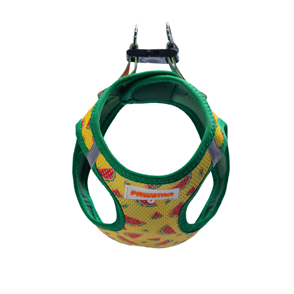 A32-Watermelon Airmesh