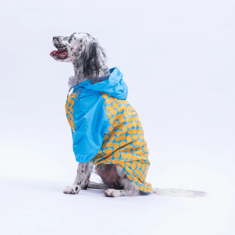 25552 Nice Citrus  Büyük Irk Yağmurluk