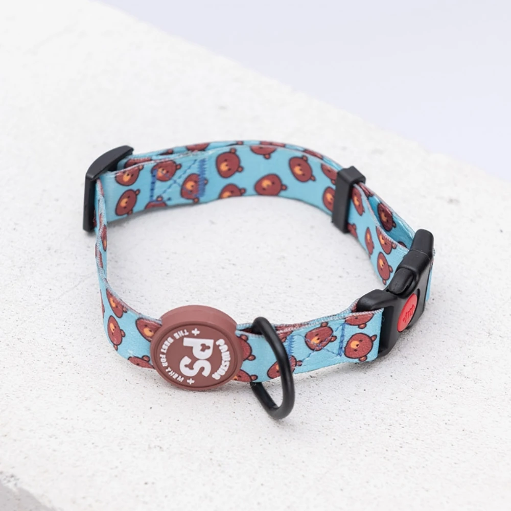 DC27-Bears Boyun Tasması