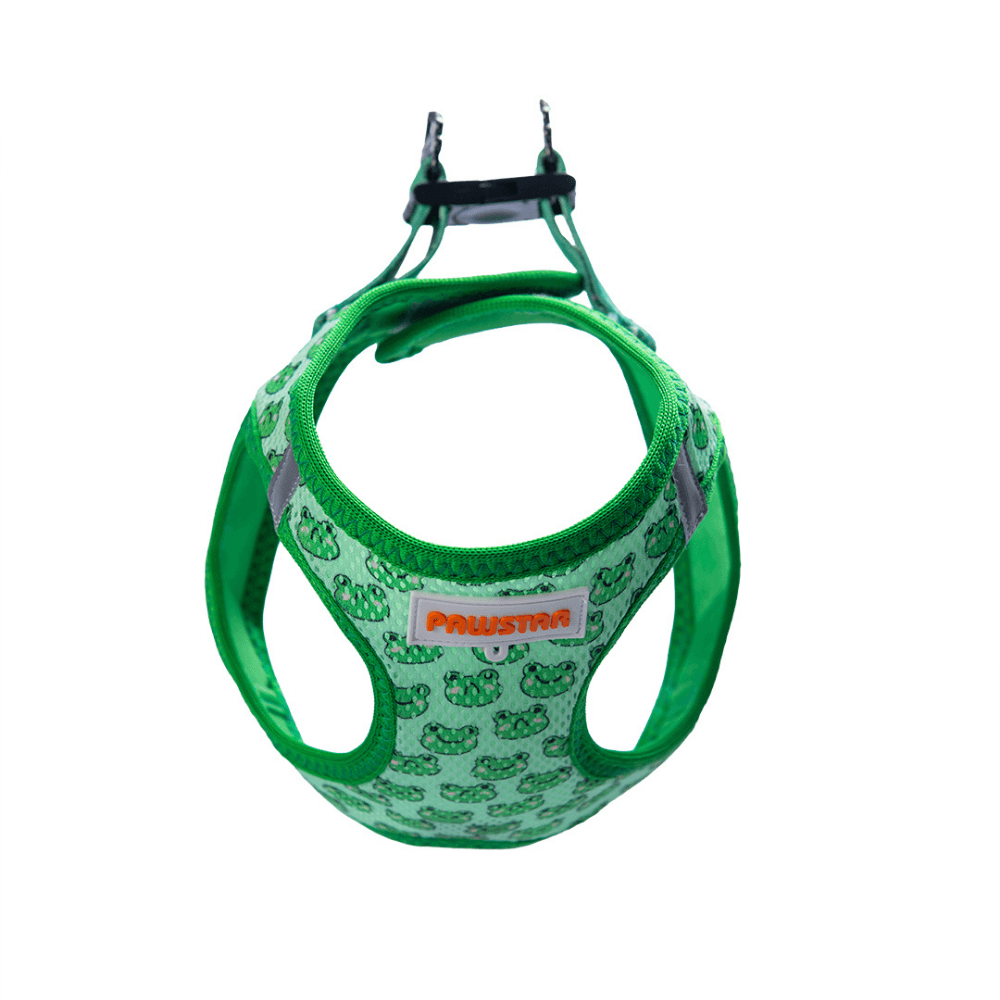 A33-Frog Airmesh