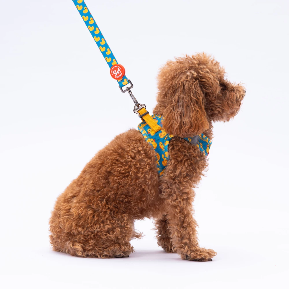 L28 Ducks Sevk Kayışı