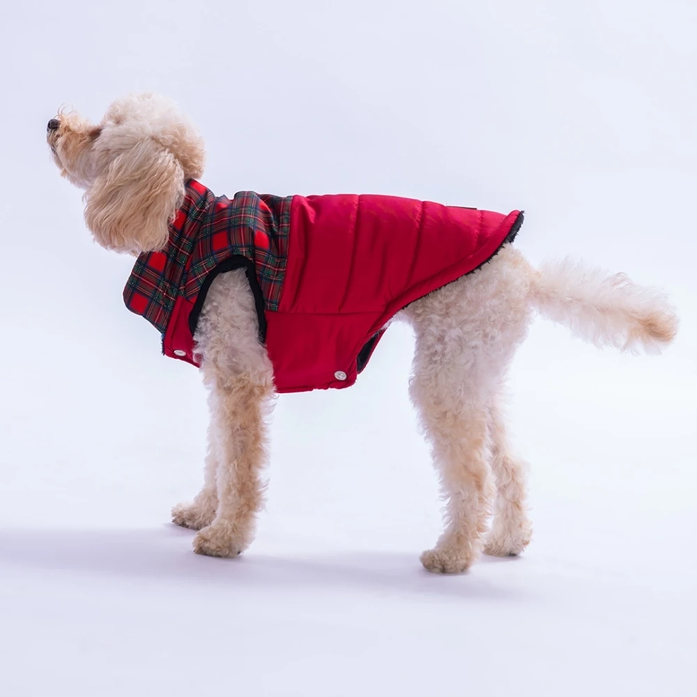 25101 Kırmızı Elgin Paws Yelek