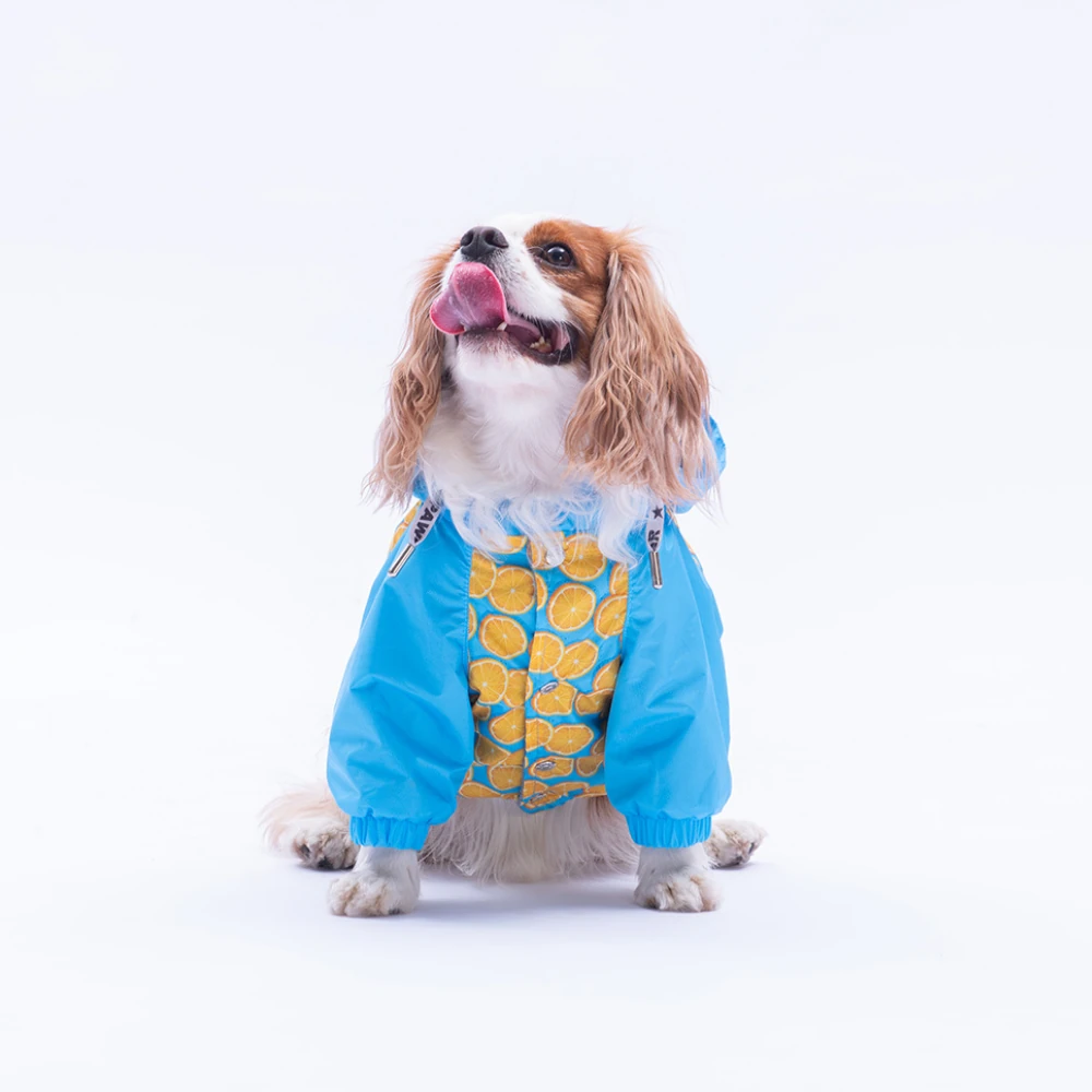 25510 Nice Citrus Yağmurluk