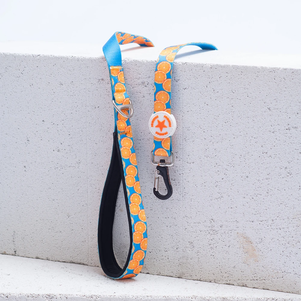 L37-Citrus Sevk Kayışı