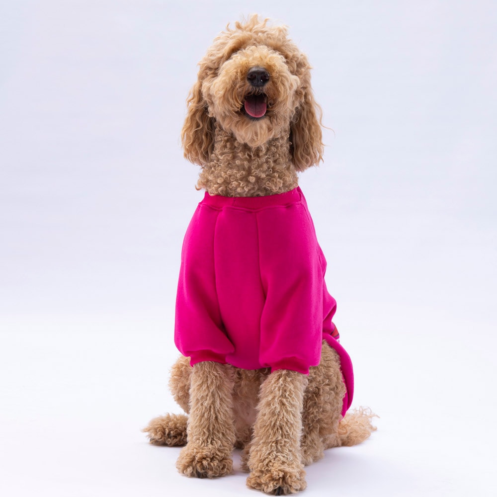 24757 Pembe Carmel Büyük Irk Sweat