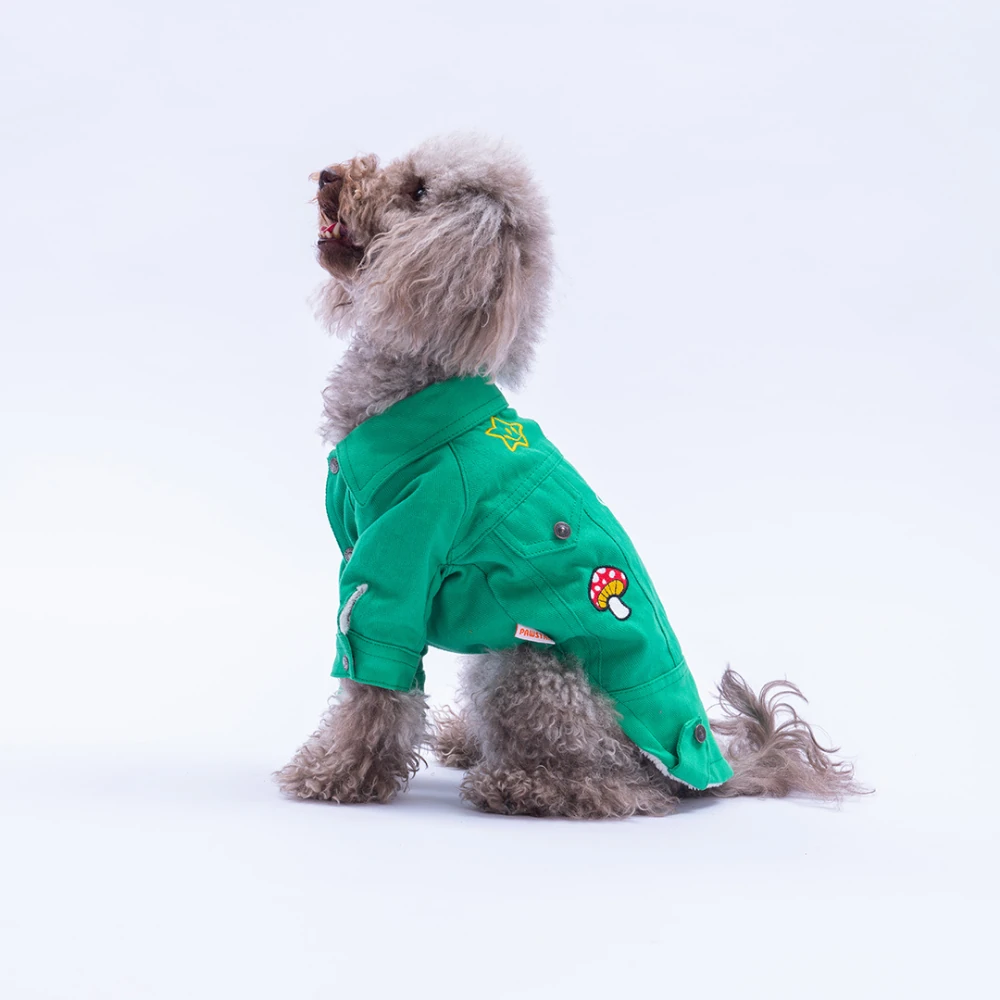 25212-Yeşil Cancún Pop  Ceket