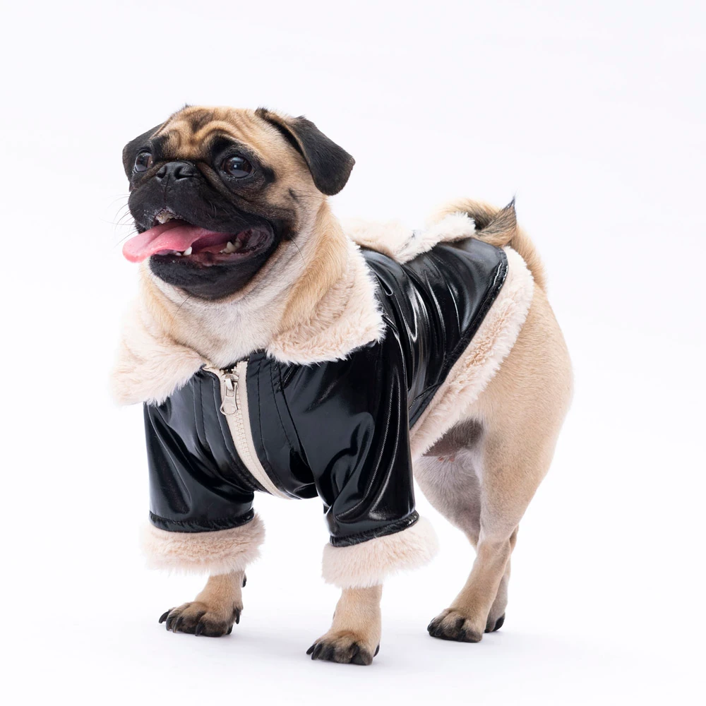 24203 Siyah Vegas Ceket