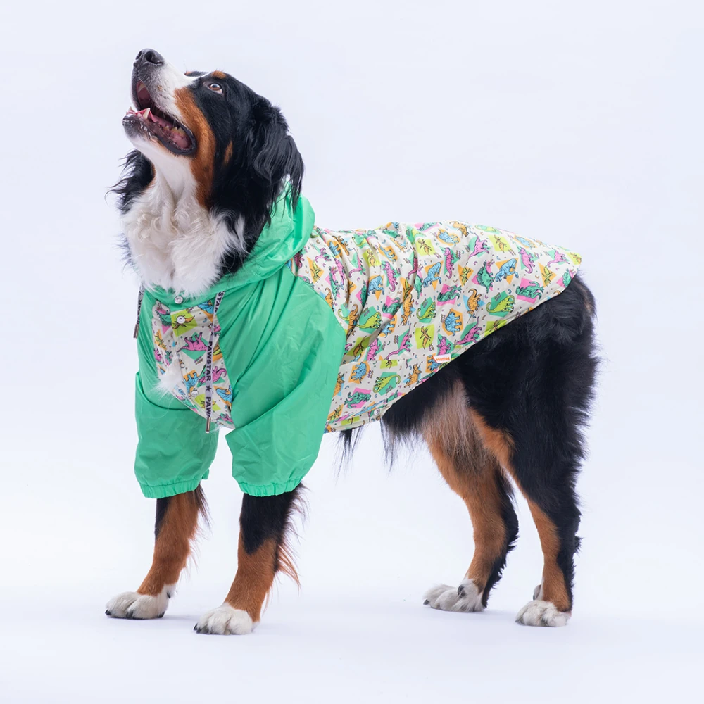 25553 Denver Dino Büyük Irk Yağmurluk