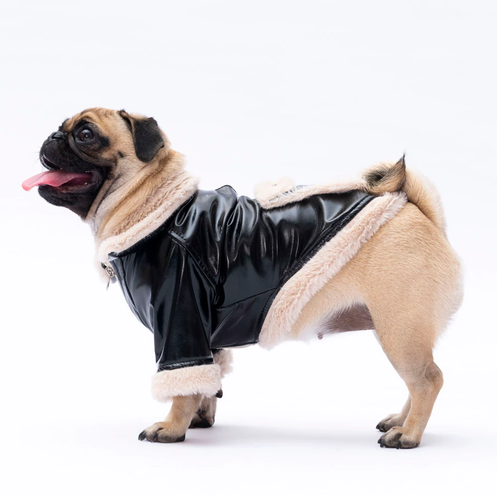 24203 Siyah Vegas Ceket