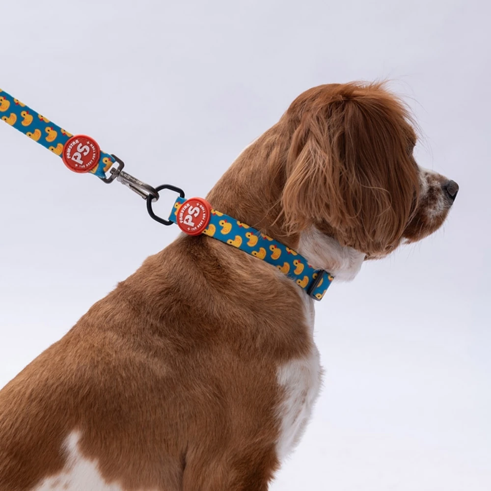 DC28-Ducks Boyun Tasması