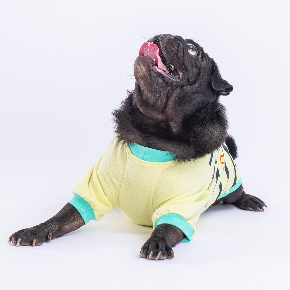 23727 Limon Dino Star Sweat