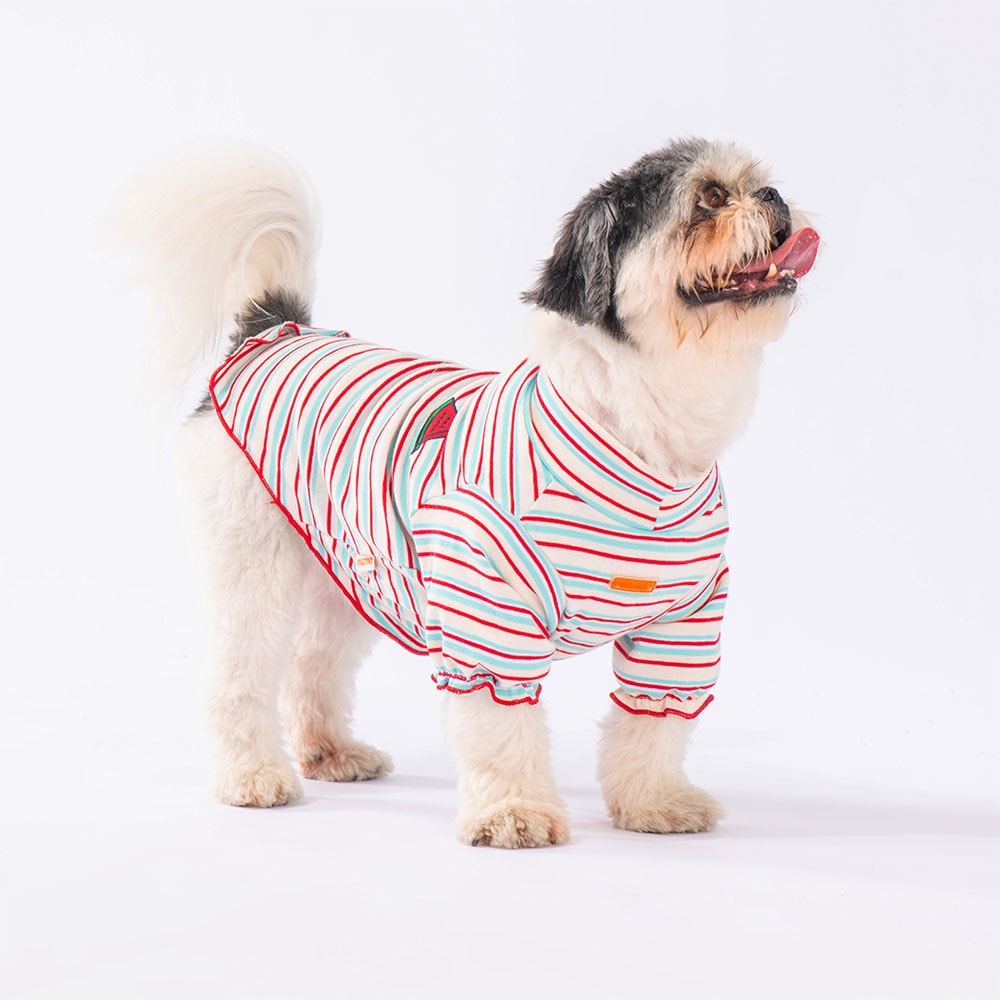 23724 Cocomero Sweat