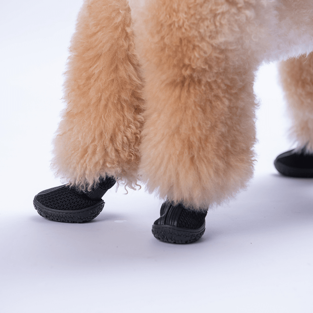 PDS12 Siyah Airmesh Köpek Ayakkabısı