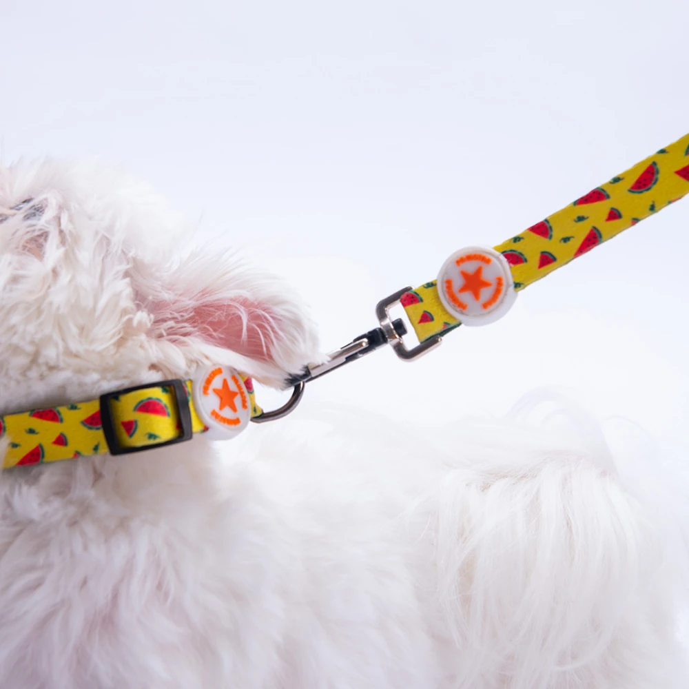 DC32-WaterMelon Boyun Tasması