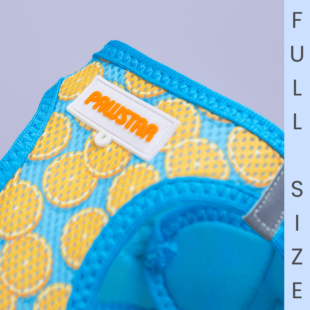 A37-Citrus Airmesh Full Size