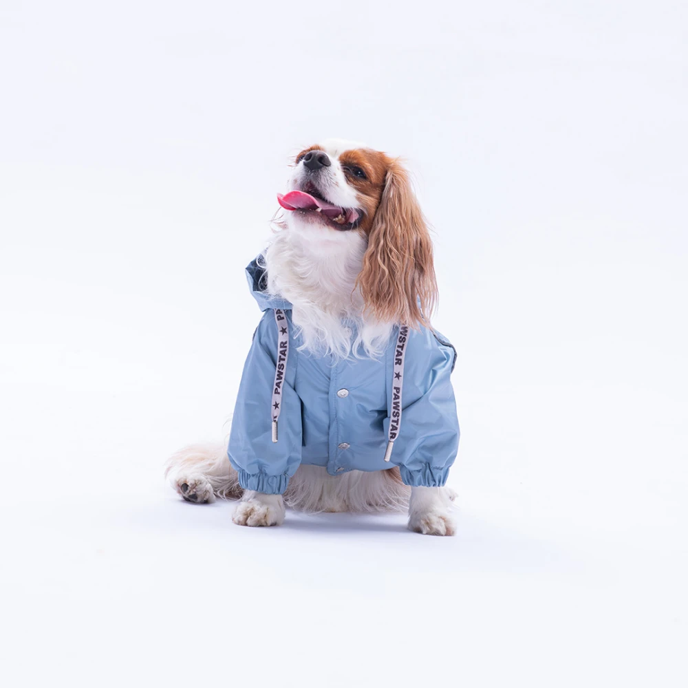 25501 Gri  Pluvia v25 Yağmurluk