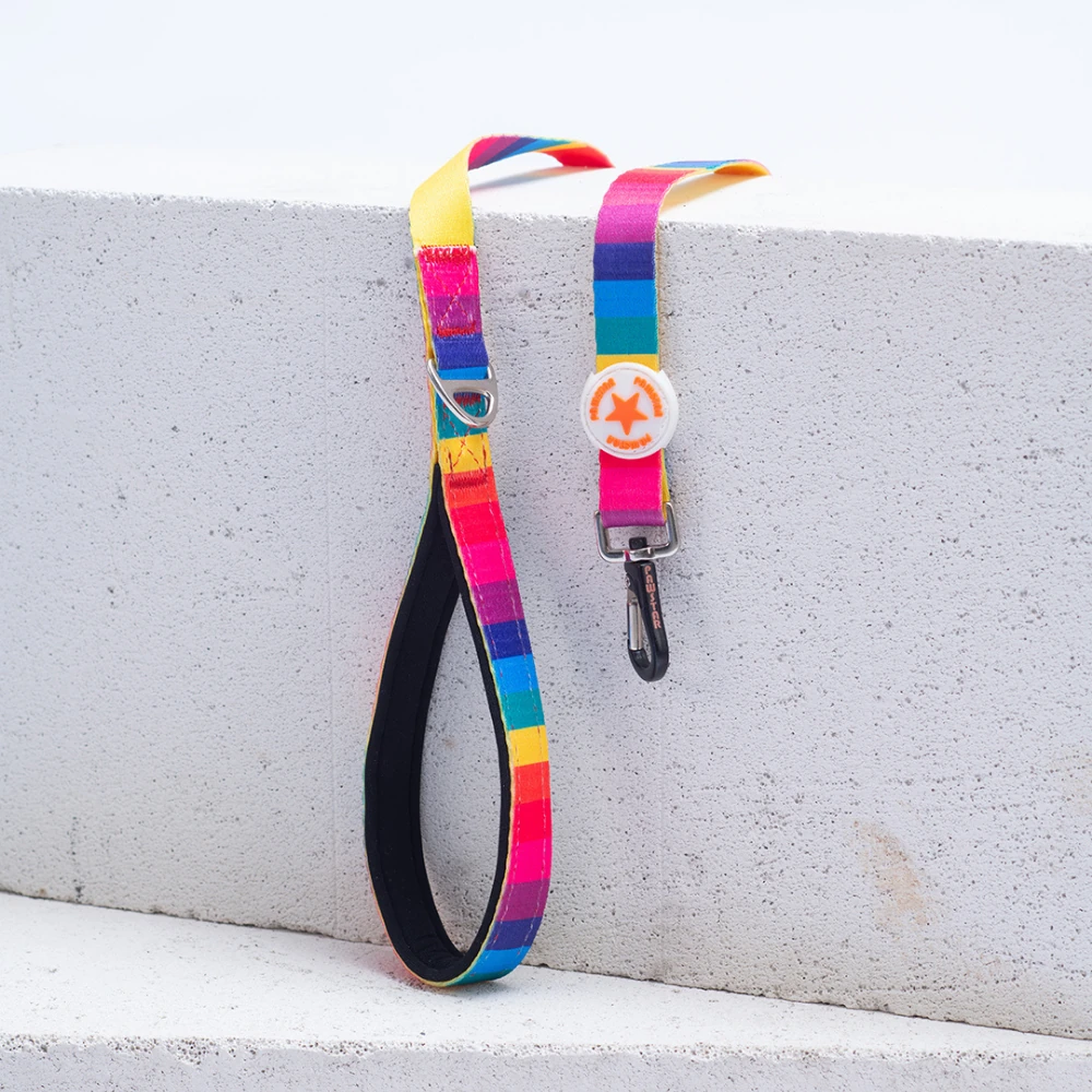 L34-Rainbow Sevk Kayışı