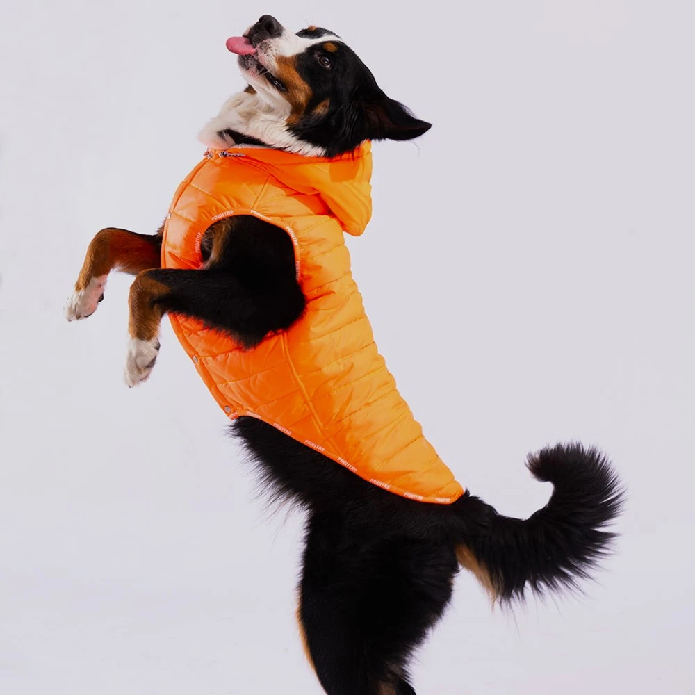 23157 Neon Turuncu Railway Büyük Irk Yelek