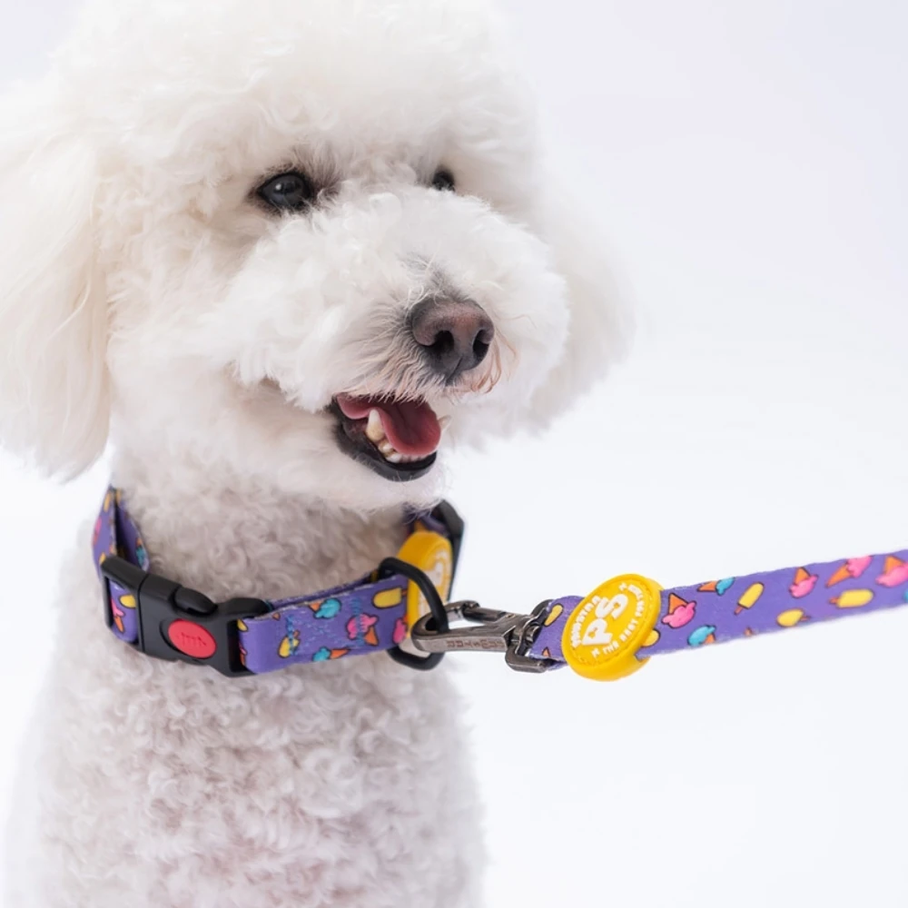 DC19-Ice Cream Boyun Tasması