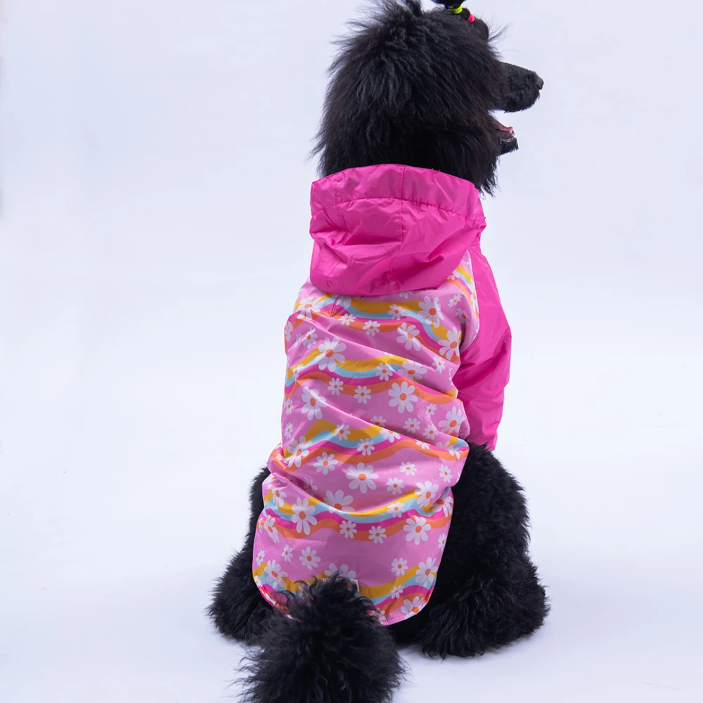 25551 Florence Daisy Büyük Irk Yağmurluk