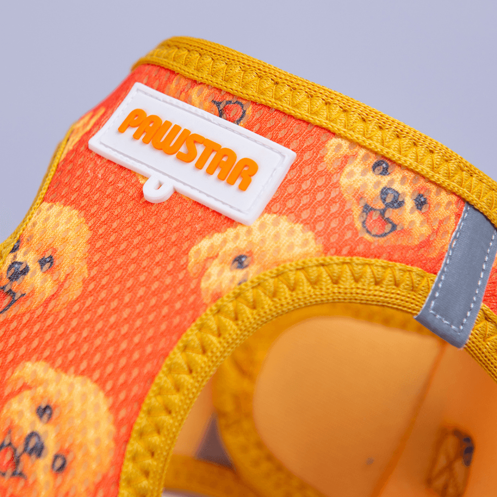 A31- Poodle Airmesh