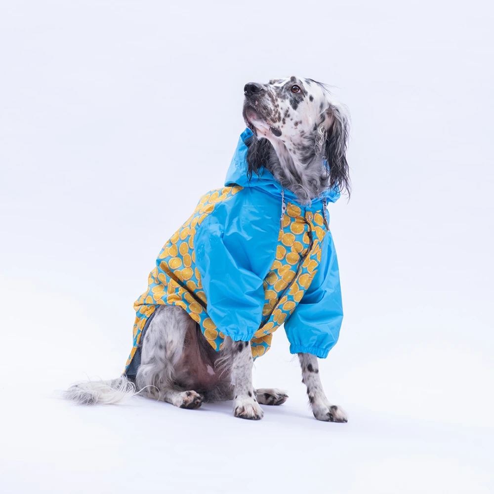 25552 Nice Citrus  Büyük Irk Yağmurluk