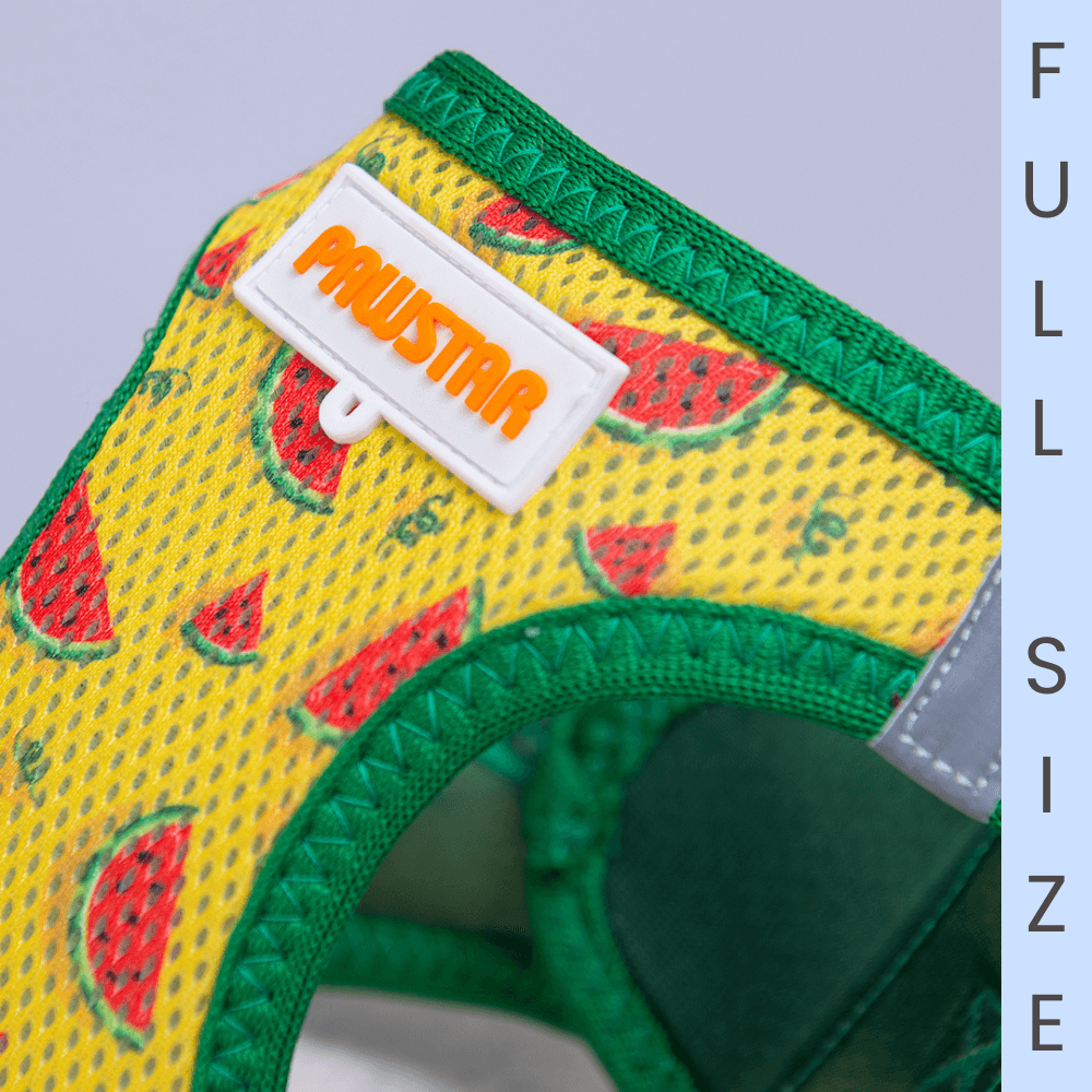 A32-Watermelon Airmesh Full Size