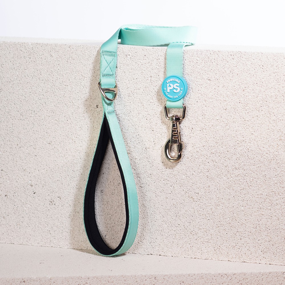 L09 Mint Sevk Kayışı