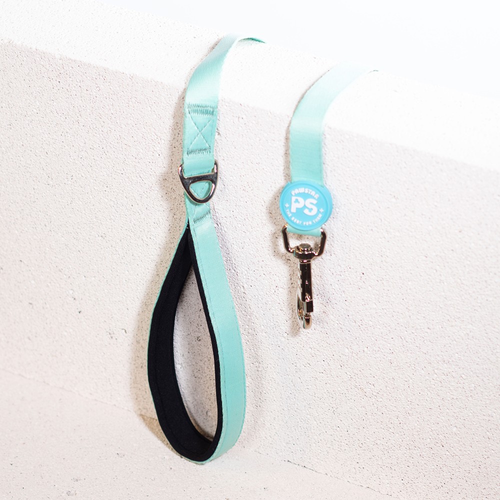 L09 Mint Sevk Kayışı