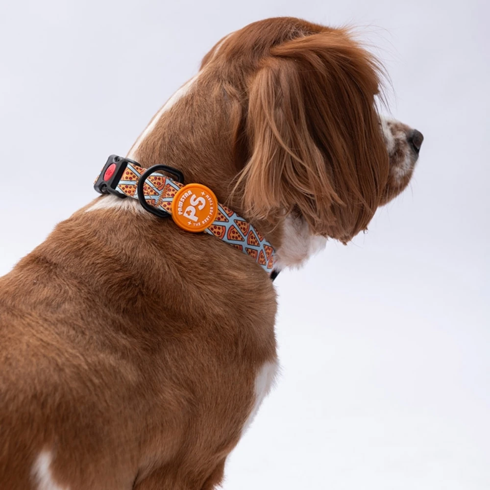 DC15-Pizza Boyun Tasması