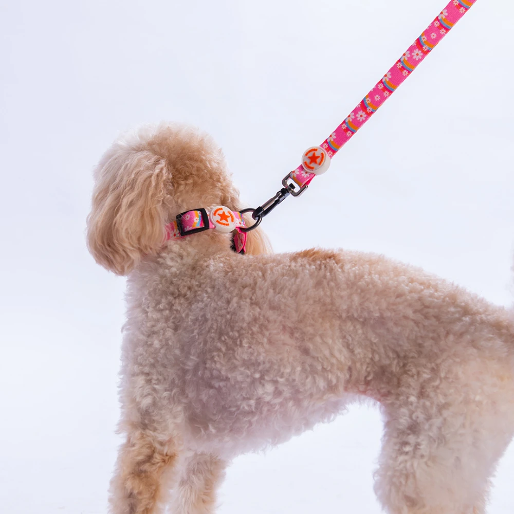 DC35-Daisy Boyun Tasması