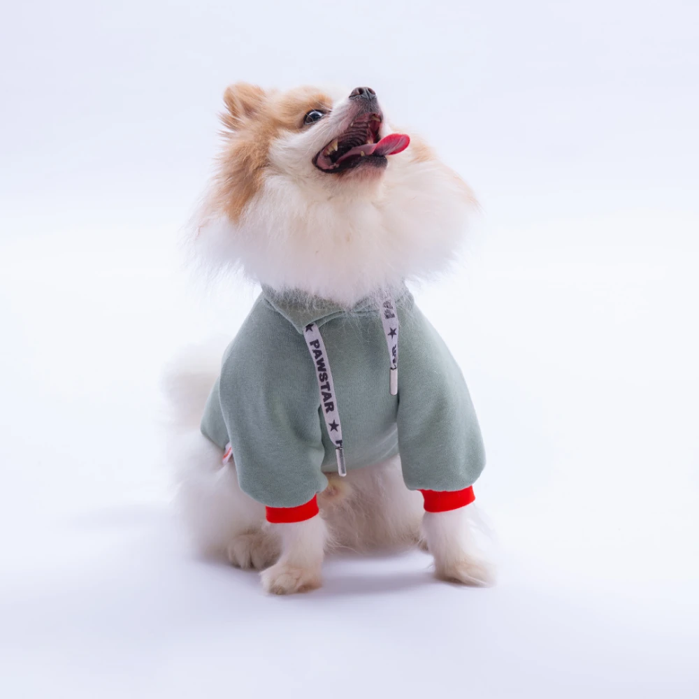 25718 Yeşil Seattle Storm Sweat