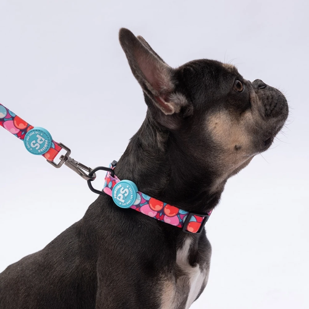 DC20-Balloons Boyun Tasması