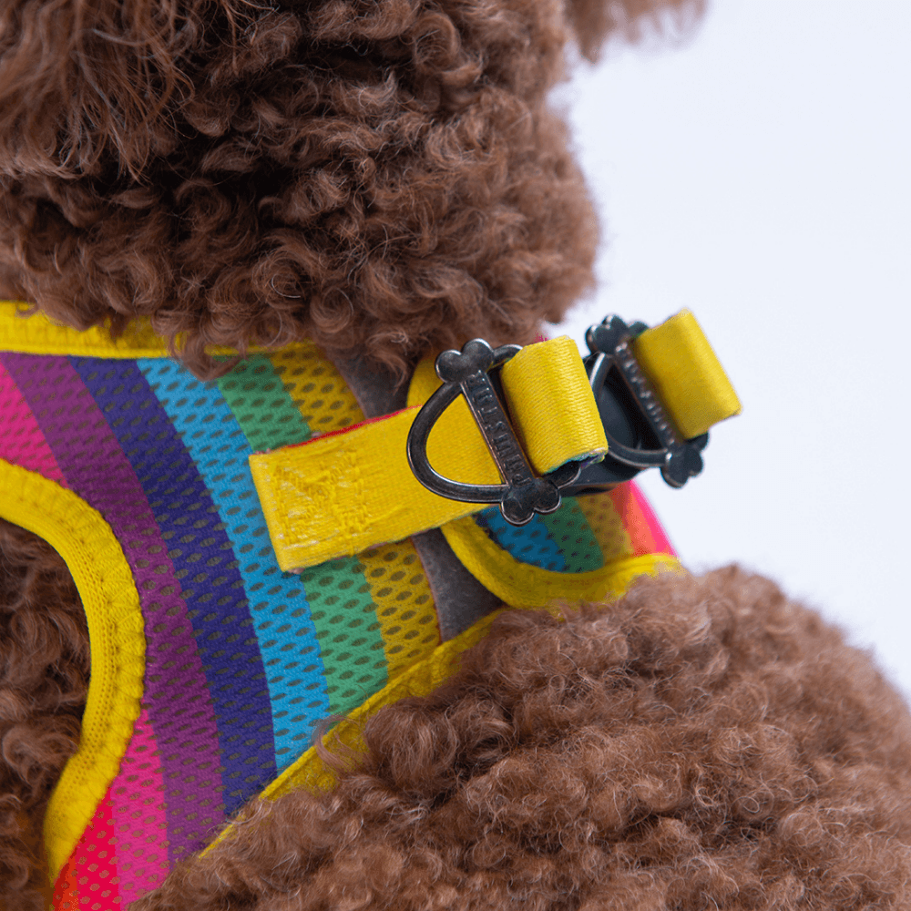 A34-Rainbow Airmesh