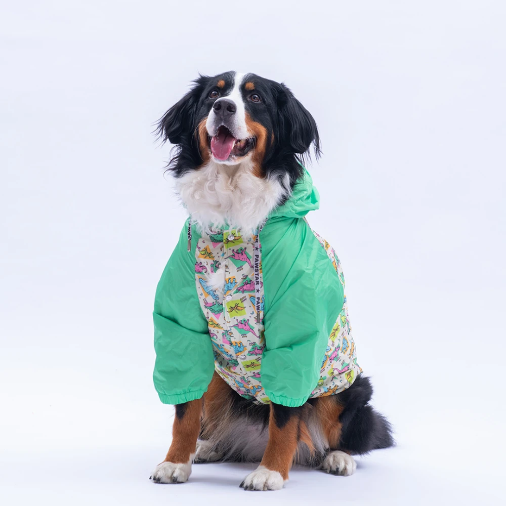 25553 Denver Dino Büyük Irk Yağmurluk