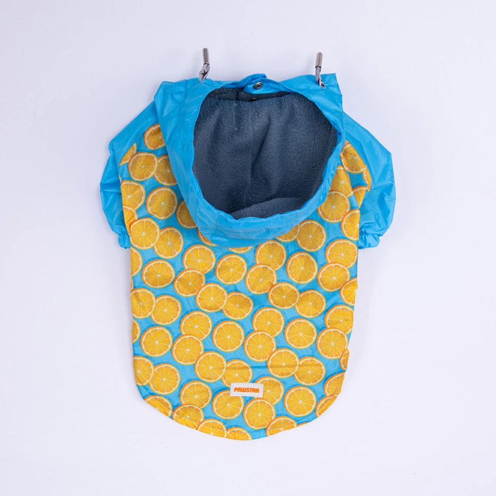 25552 Nice Citrus  Büyük Irk Yağmurluk