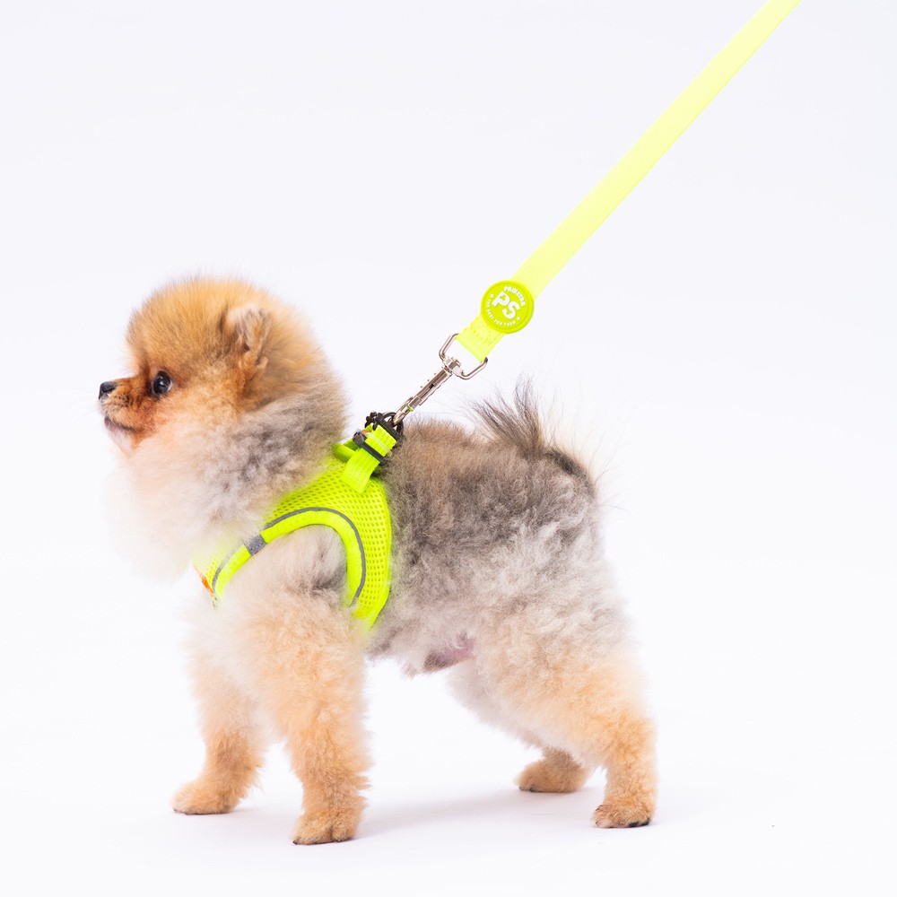 L01 Neon Sarı Sevk Kayışı