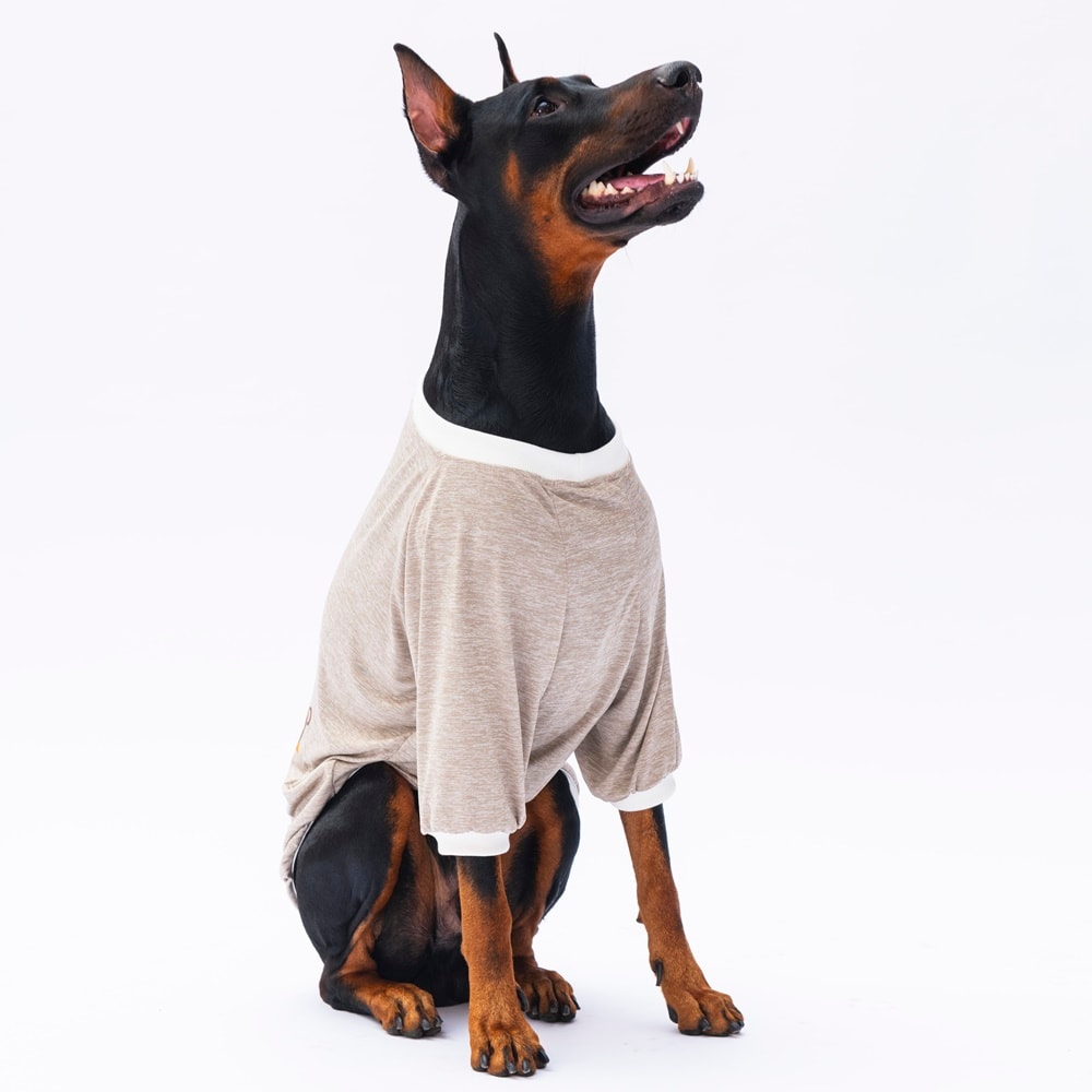 24755 Bej Super Paws Büyük Irk Sweat
