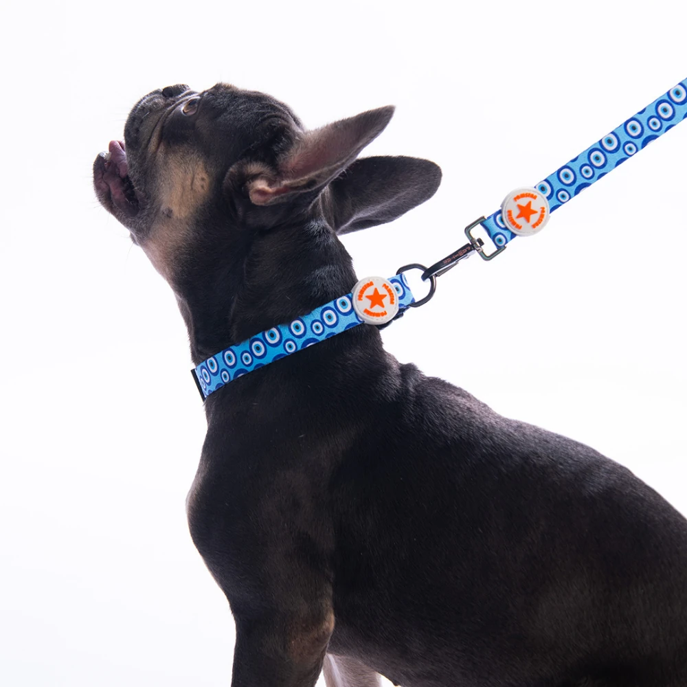 DC38-Charm Boyun Tasması